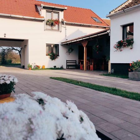 Casa Badea Hotel Riu Alb Екстериор снимка