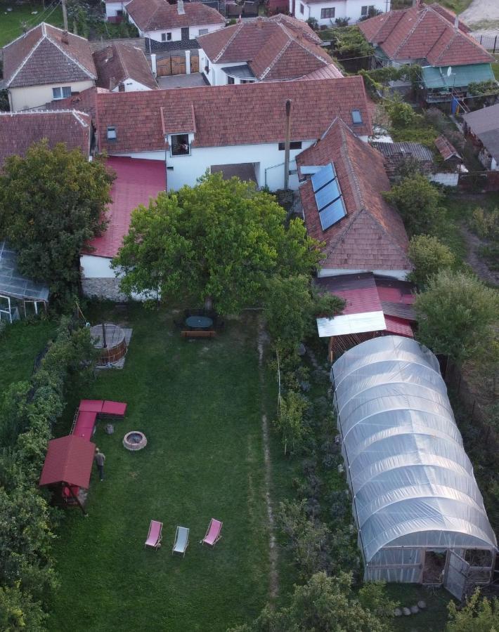 Casa Badea Hotel Riu Alb Екстериор снимка