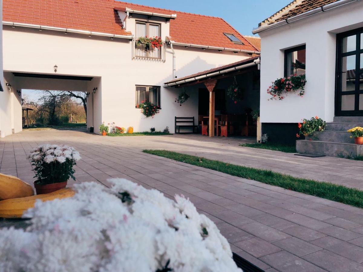 Casa Badea Hotel Riu Alb Екстериор снимка